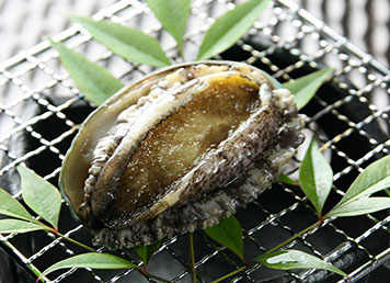 Grilled abalone