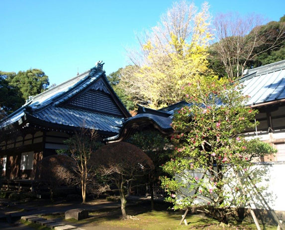 早雲寺